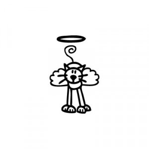 Gatto angioletto