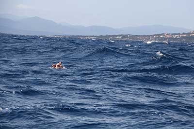 Il mare cresce sempre di più...